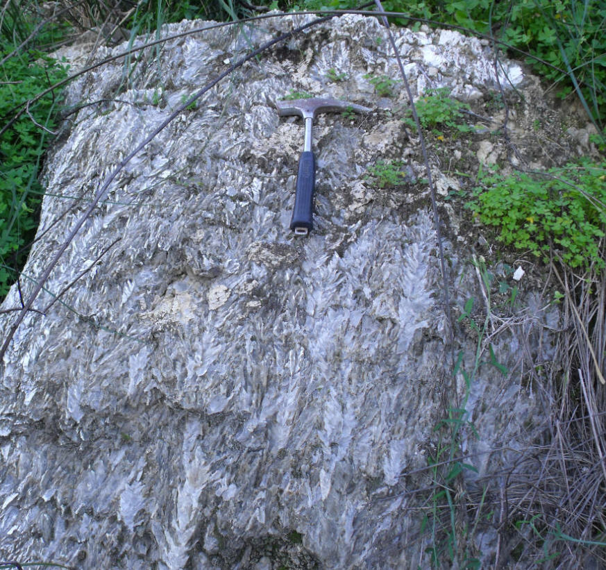 Cristalli di gesso selenitico